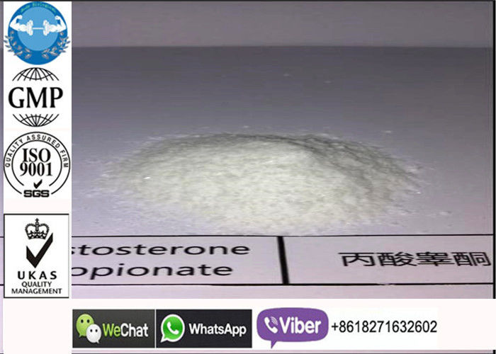 521-12-0 polvo del propionato de la testosterona, esteroides que abultan legales del apoyo crudo blanco de la prueba