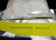 Polvo cristalino blanco de Decanoate del Nandrolone, levantamiento de pesas legal de Deca Durabolin