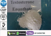 Prueba potente E/polvo esteroide de Enanthate de la testosterona para los suplementos del levantamiento de pesas