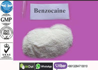 Polvo del clorhidrato del Benzocaine del levantamiento de pesas, clorhidrato del Benzocaine de CAS 73-78-9