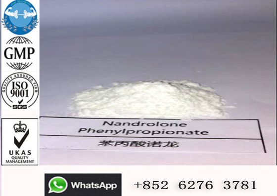 100mg/ml del líquido del NPP Deca de Nandrolone Phenylpropionate de los esteroides anabólicos